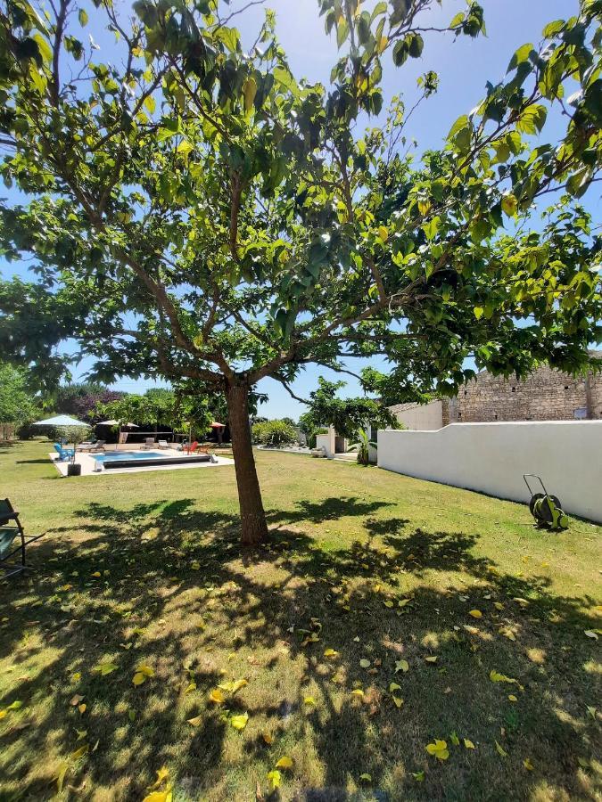 Gite 4 personnes avec piscine entre Saintes et Royan Balanzac Extérieur photo